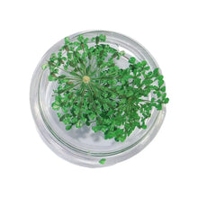 dried flower nail charms – 3D nail art decorations and supplies