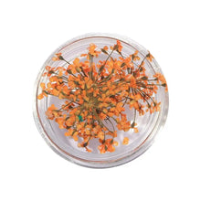 dried flower nail charms – 3D nail art decorations and supplies