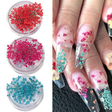 dried flower nail charms – 3D nail art decorations and supplies