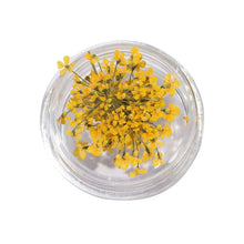 dried flower nail charms – 3D nail art decorations and supplies