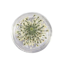 dried flower nail charms – 3D nail art decorations and supplies