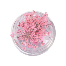 dried flower nail charms – 3D nail art decorations and supplies