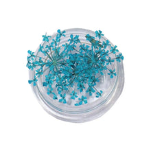 dried flower nail charms – 3D nail art decorations and supplies