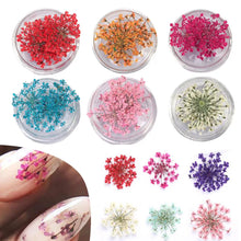 dried flower nail charms – 3D nail art decorations and supplies