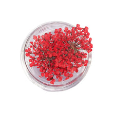 dried flower nail charms – 3D nail art decorations and supplies