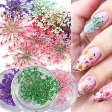 dried flower nail charms – 3D nail art decorations and supplies